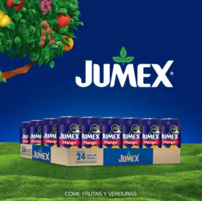Jumex Drink with Fruit Assorted Flavors 24 pieces of 335 ml - Nativo